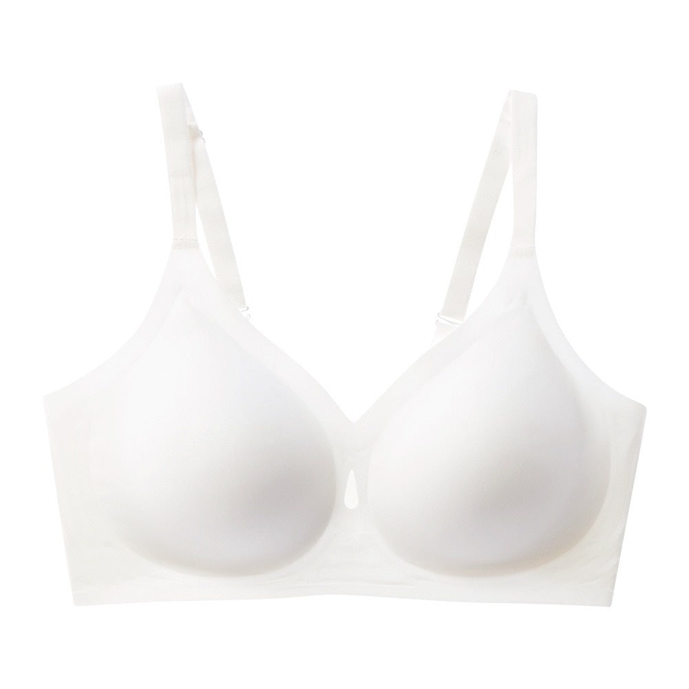 558858697-6